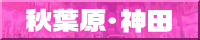 �H�t���E�_�c�������e�K�C�h